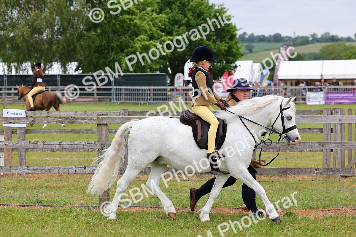 SBM_08107 - Class 42-43 - LIHS BSPS Heritage Working Sports Pony
