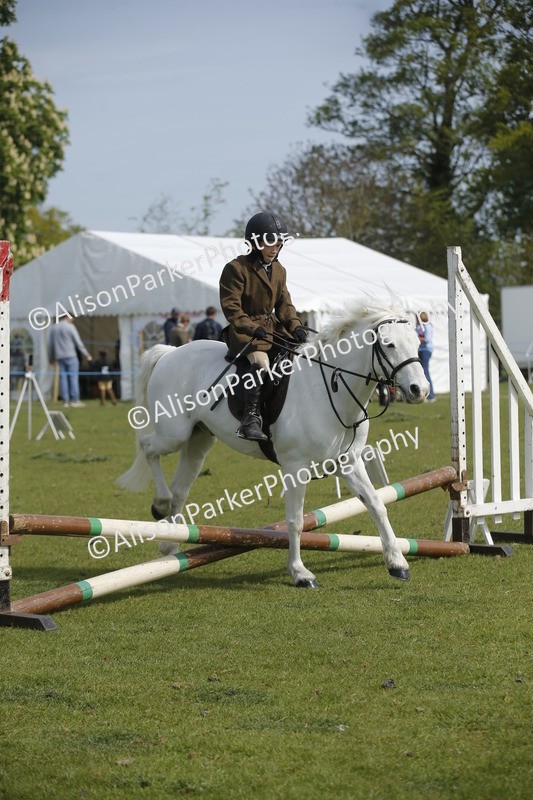 20260426-1274 - Class 2 - Mini Jumping