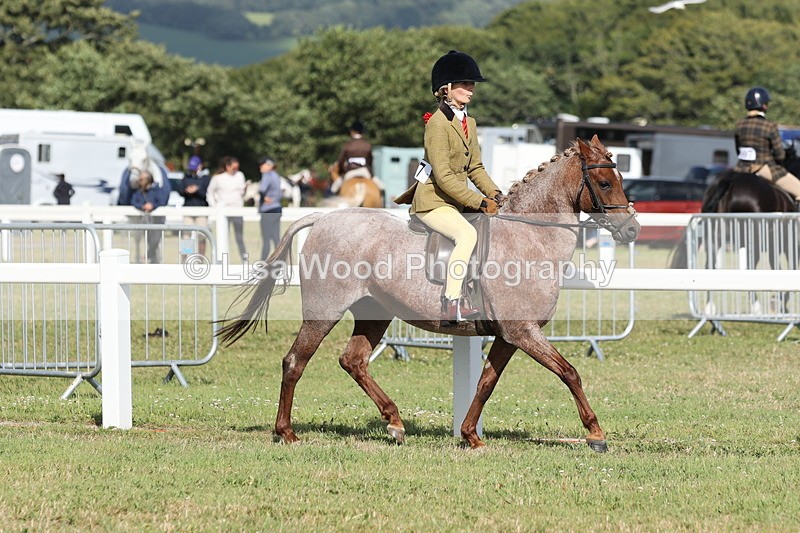 JPP_2858 - Class 20: Working Hunter 70cm