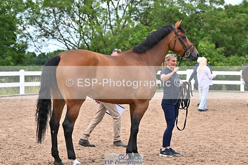 240718A-105322-01903 - Trot Up 2pm to 3pm - This folder is not in time order