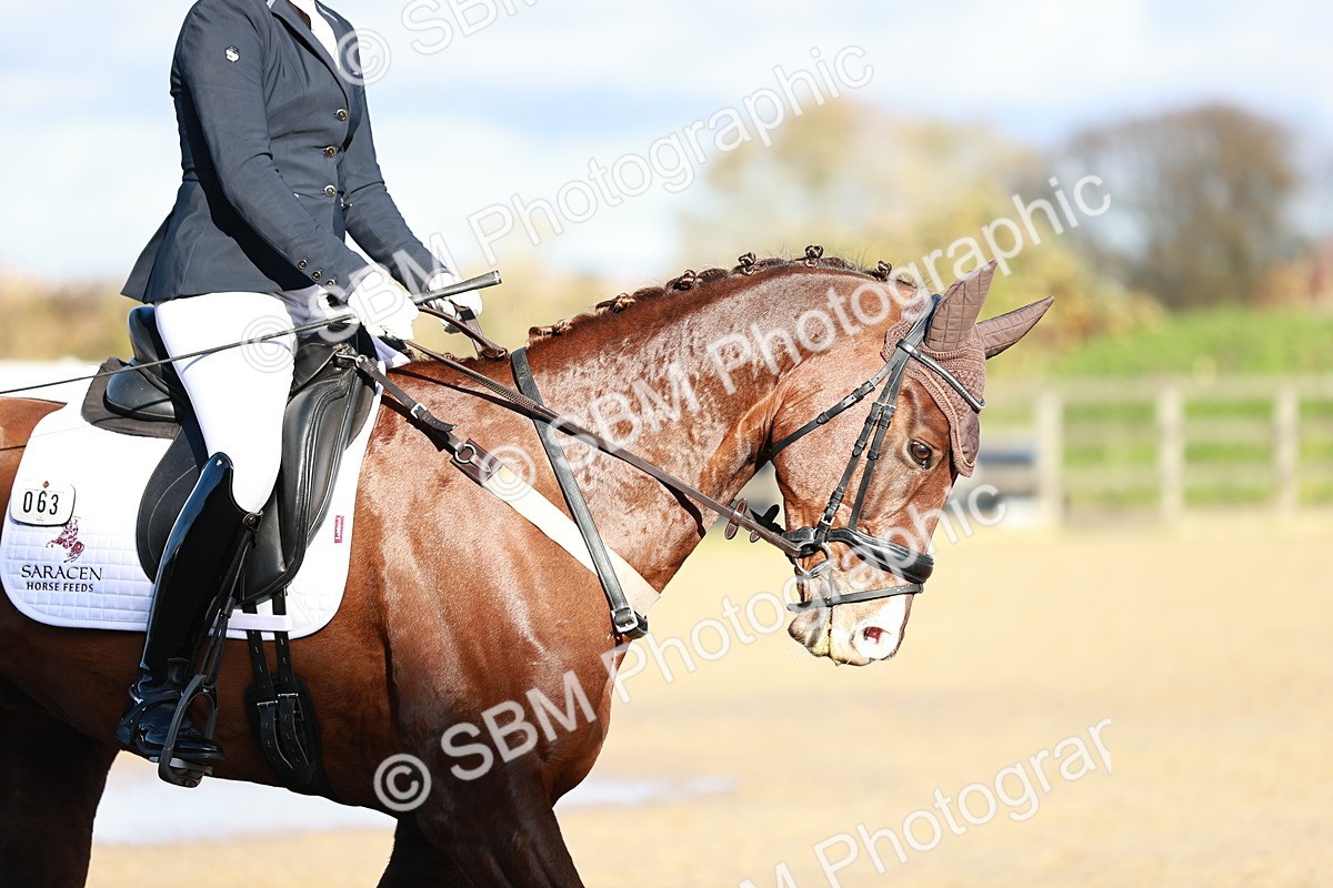 SBM_000347 - Ele 4