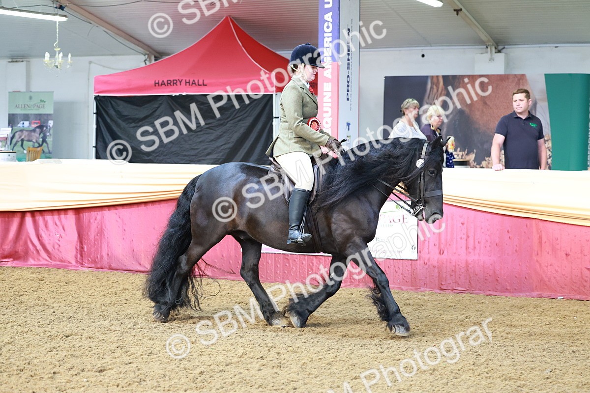 SBM_12010 - Class 102 - Equitation (Best Rider) Adult