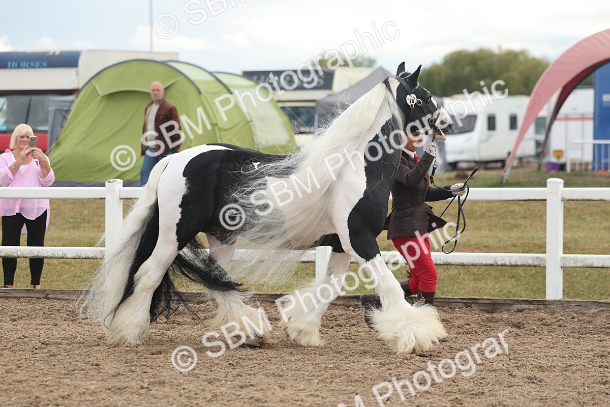 SBM_08498 - Class 29 - IH Veteran Pony