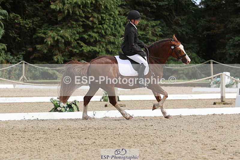 250718A-160133-02742 - 153-Grace.Coker-Brown-Yarty.Reflection