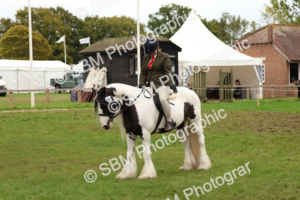 SBM_64639 - S58 - Coloured Pony Ridden