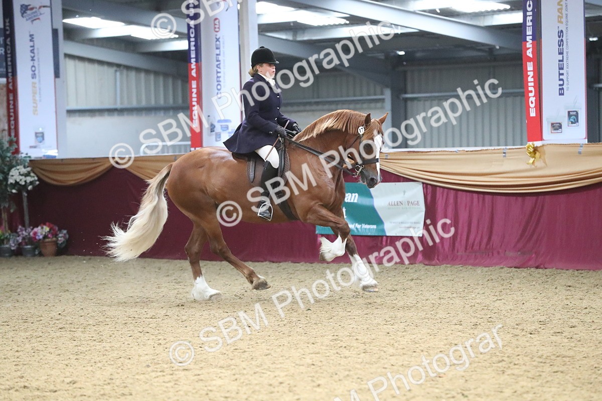 SBM_17195 - M&M Supreme Final Champ