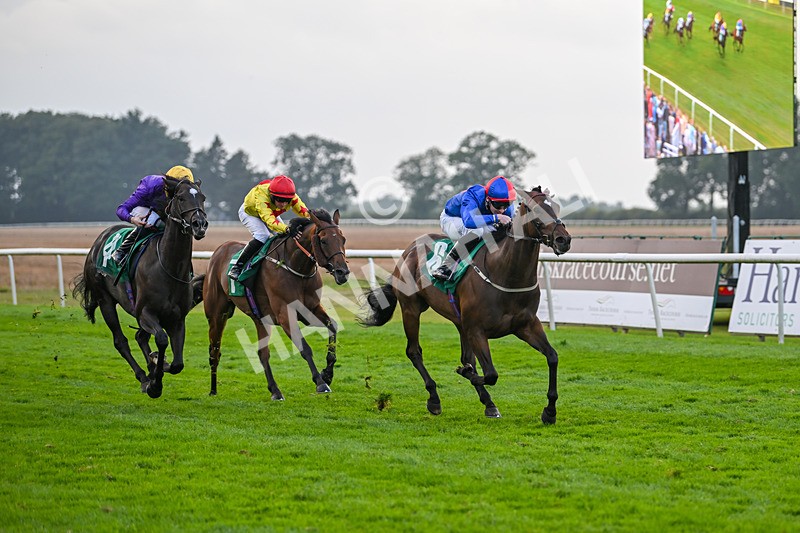 070924-Race 8-Desert Falcon-8078 - Race 8