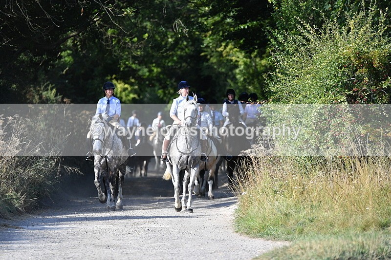 WJ5_4855 - Walk out with the hounds