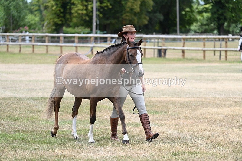 WJ7_1442 - Class 4 Prettiest Mare up to 14.2hh in hand