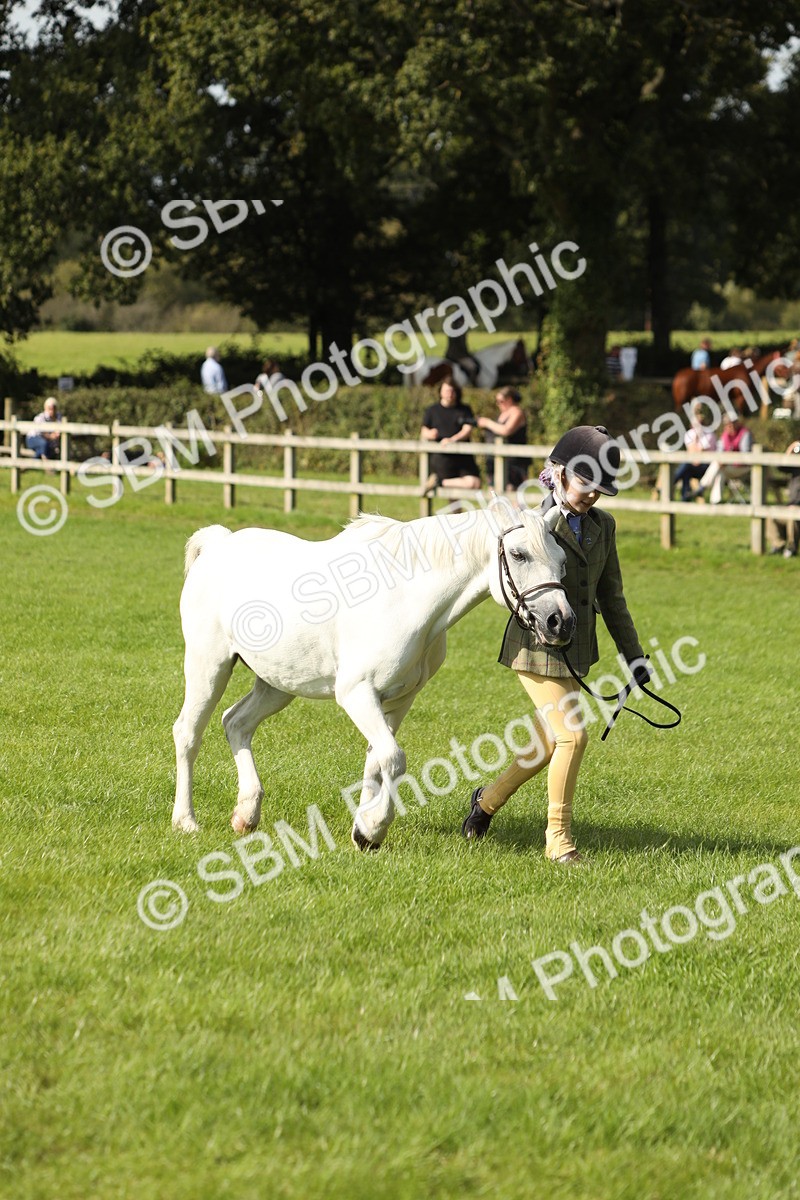 SBM_68599 - S40 - Junior Handler 9-12 Years