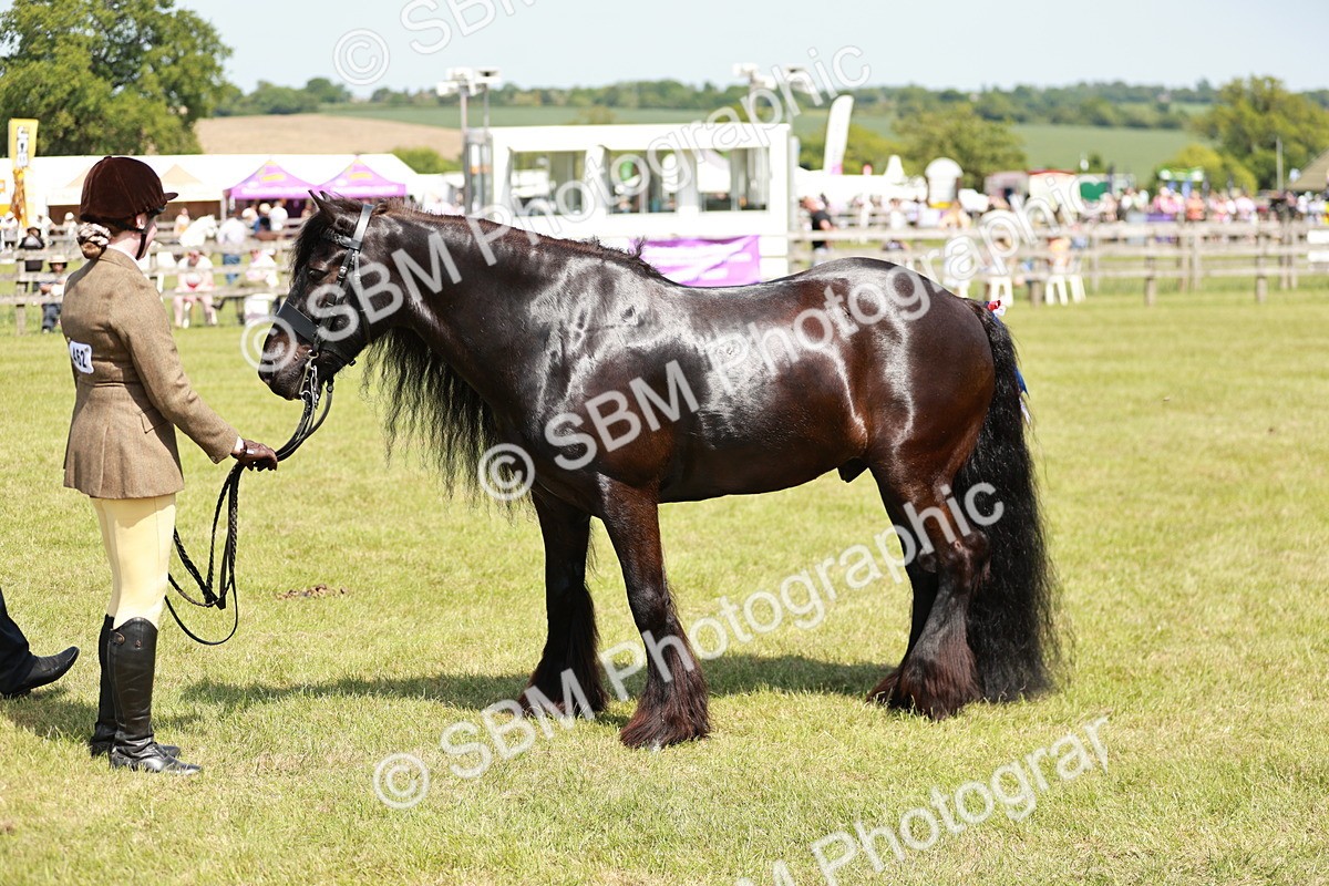 SBM_07166 - Class 26-30 - Mountain and Moorland Ridden