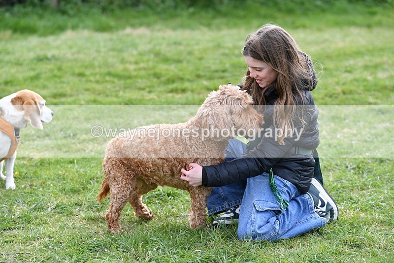 WJ5_0186 - Class 5 Best Veteran / 7 years & over