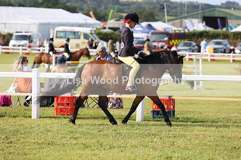 JPP_0508 - Class 15: Cornish Combination First Ridden