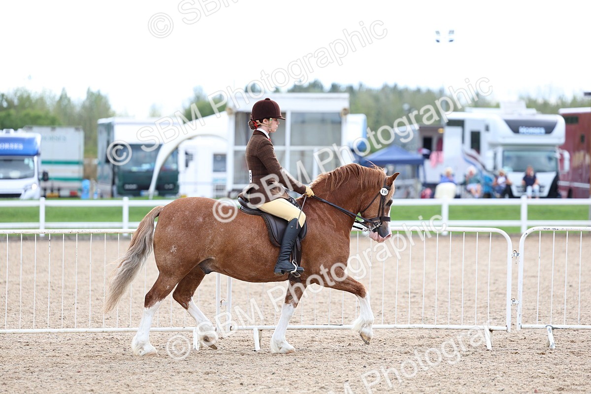 SBM_17485 - Class 316 - Best Pony - Rider Combination