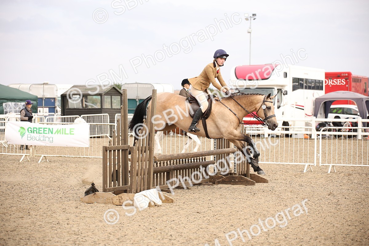 SBM_17153 - Class 409b - Working Veteran 80cm (20+)