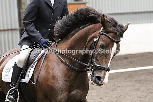 SIAL5058 - CAbin Dressage 5th july 2025
