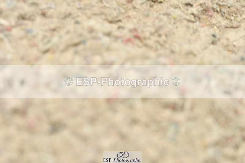 230701A-145815-06999 - Cls 17, 20, 11 + 21 Music PSG, Inter II, Advanced 101 + FEI GP