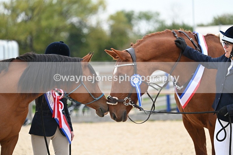 WJ7_1989 - Class 1 & Champs