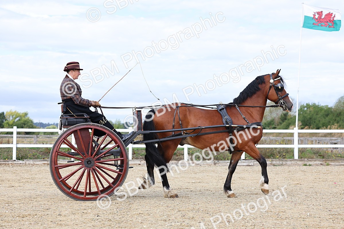 SBM_000707 - Class 6 - Exercise Vehicle 13.2 and over
