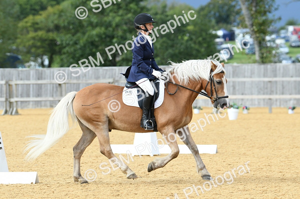 SBM_10916 - D28 Elementary Taster Elementary 42