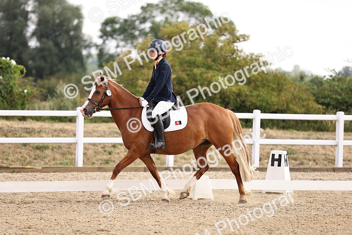 SBM_006470 - Intro 3 - 9.46-10.46