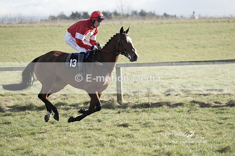 PtP 260223 1107 - South & West Wilts Point-to-Point Larkhill 26/02/23
