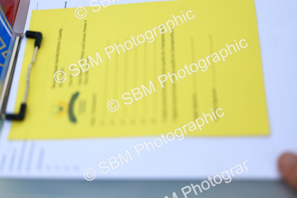 SBM_00245 - Class 58-67 - M&M Non Welsh Pony In hand