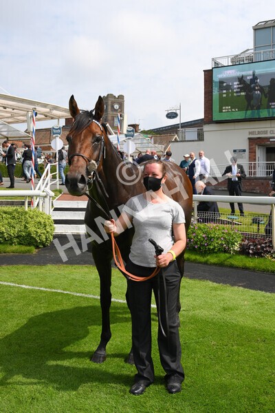 yr10072021r2-35 - Race 2: 2.20pm John Smith's Silver Cup Stakes