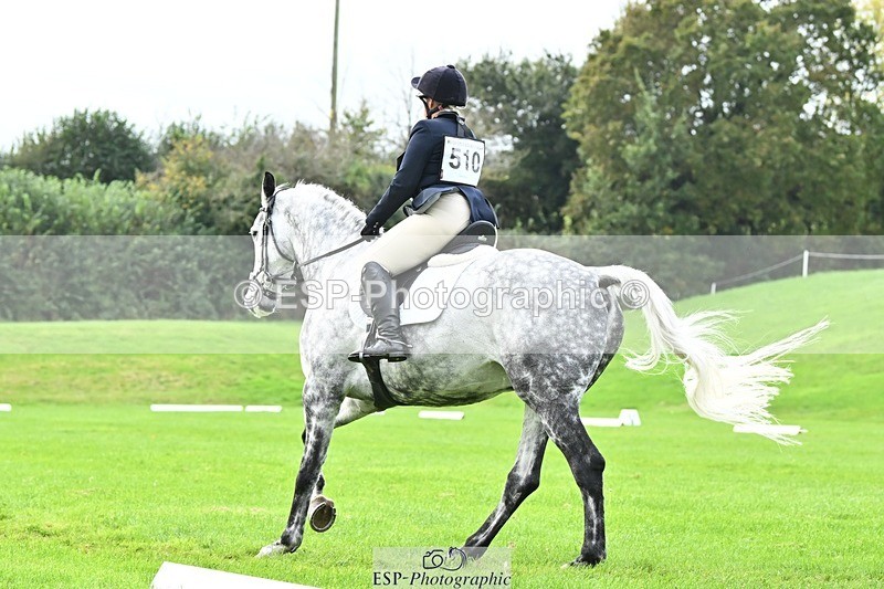 241024-115209-02514 - 510-Kathryn.Virjee-BROWNSTOWNS.SEAWATCH