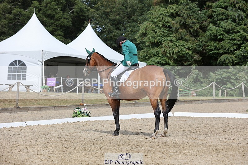 250718A-153213-02603 - 152-Tracy.OKennedy-Wylye.Harlequin