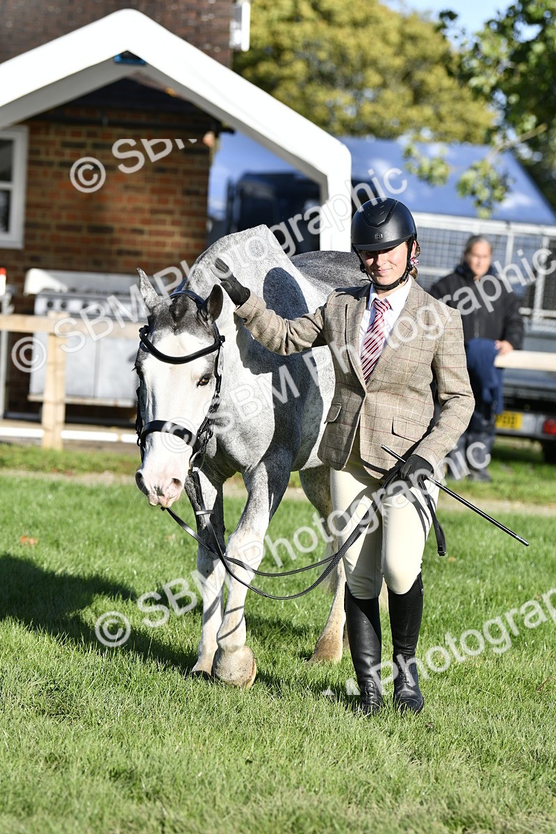 SBM_52245 - S35 - Working Hunter & Working Show Horse