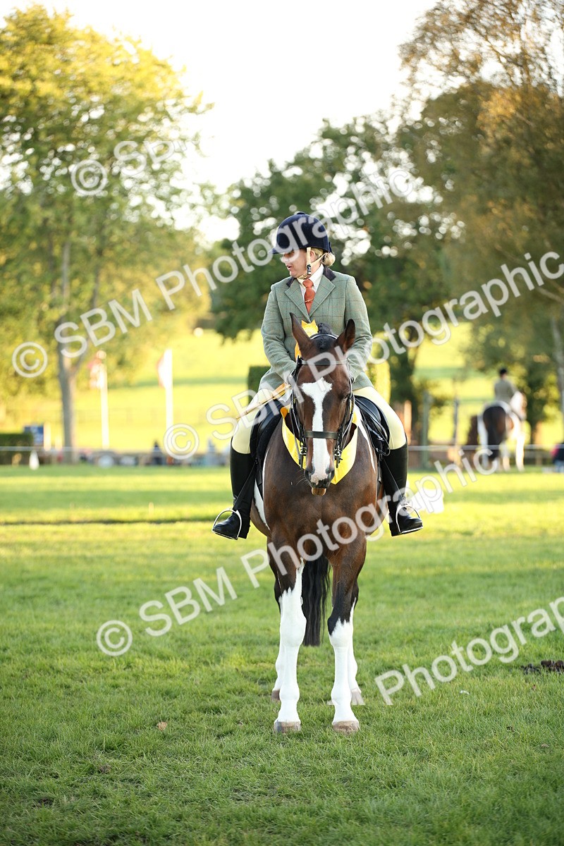 SBM_57052 - Veteran Supreme Championship