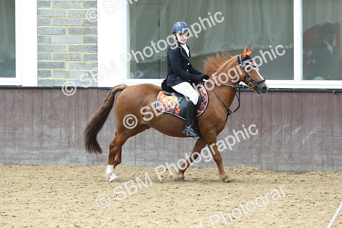 SBM_005521 - Class 7 - 70cm Open