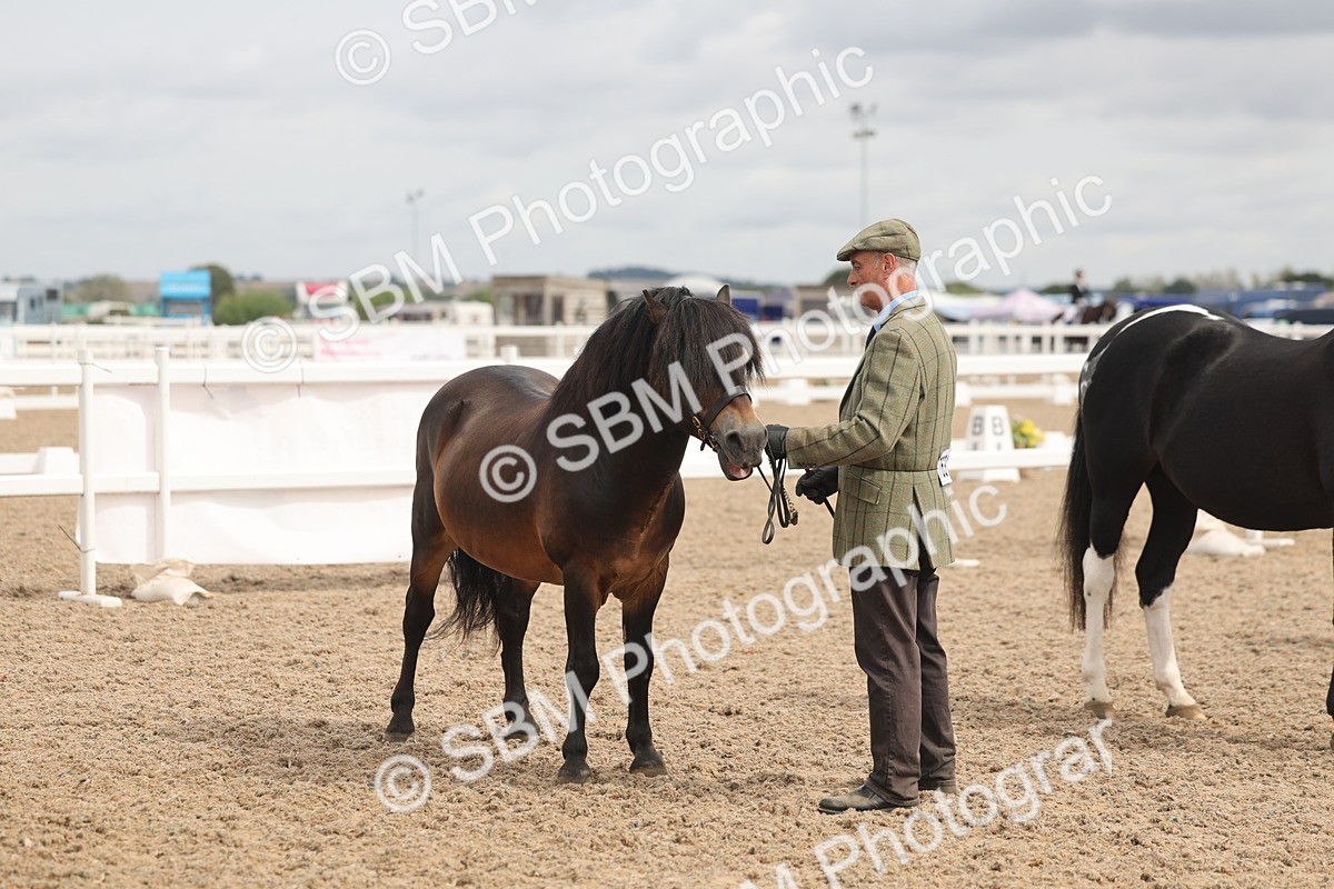SBM_05020 - Class 20 - IH Veteran