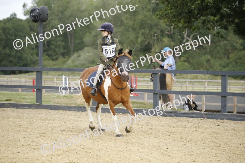 20250622-1286 - 40cm