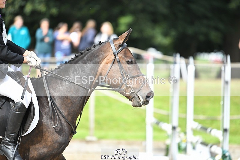 230827-100717-22942 - SJ 10 to 11.30 coursewalk