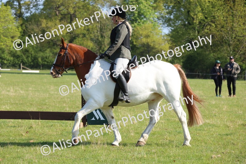 20250427-0576 - Class 17 - Novice Showing