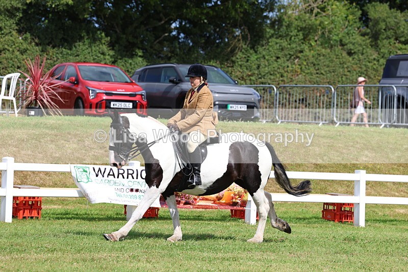 3E7A9740 - Class 5: Rising Star Lightweight/Heavyweight Cobs