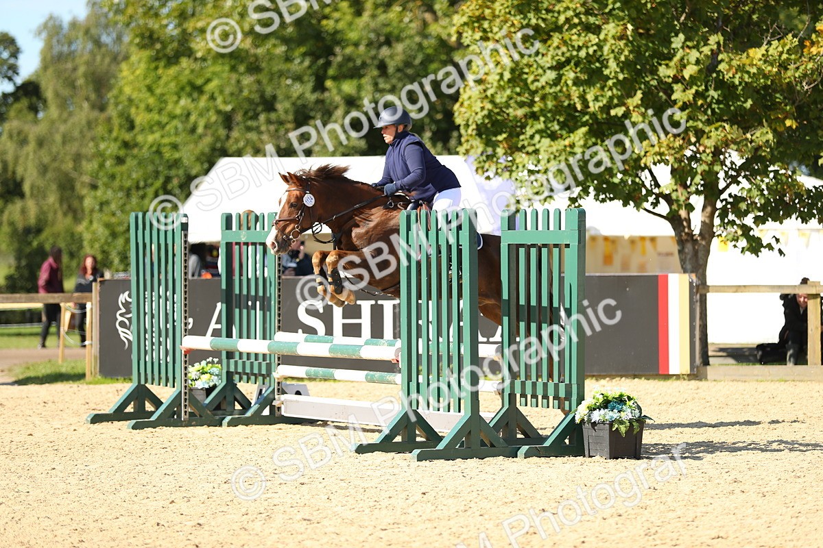 SBM_17744 - J33 - Senior 75cm Championship