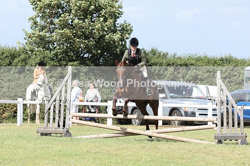 JPP_2540 - Class 20: Working Hunter 70cm