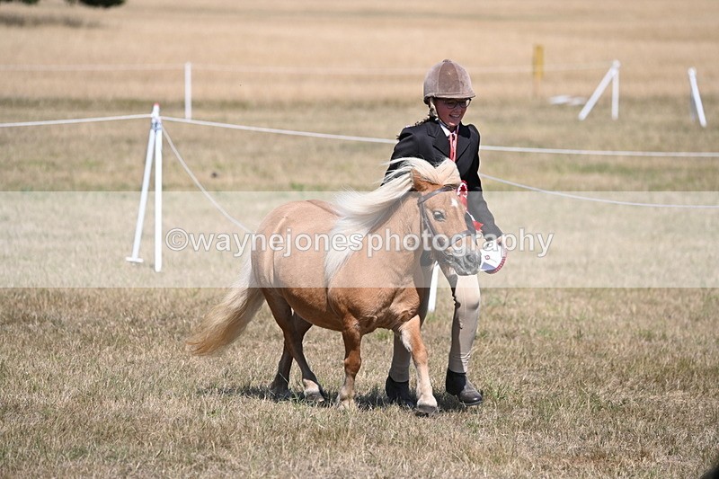WJ6_9298 - Championship Classes 33-38