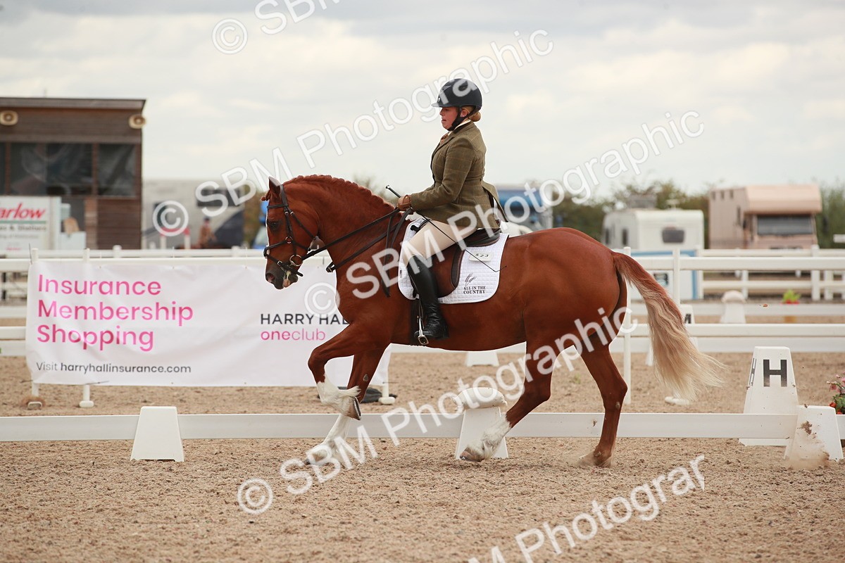 SBM_06097 - Class 33 - Elementary 1