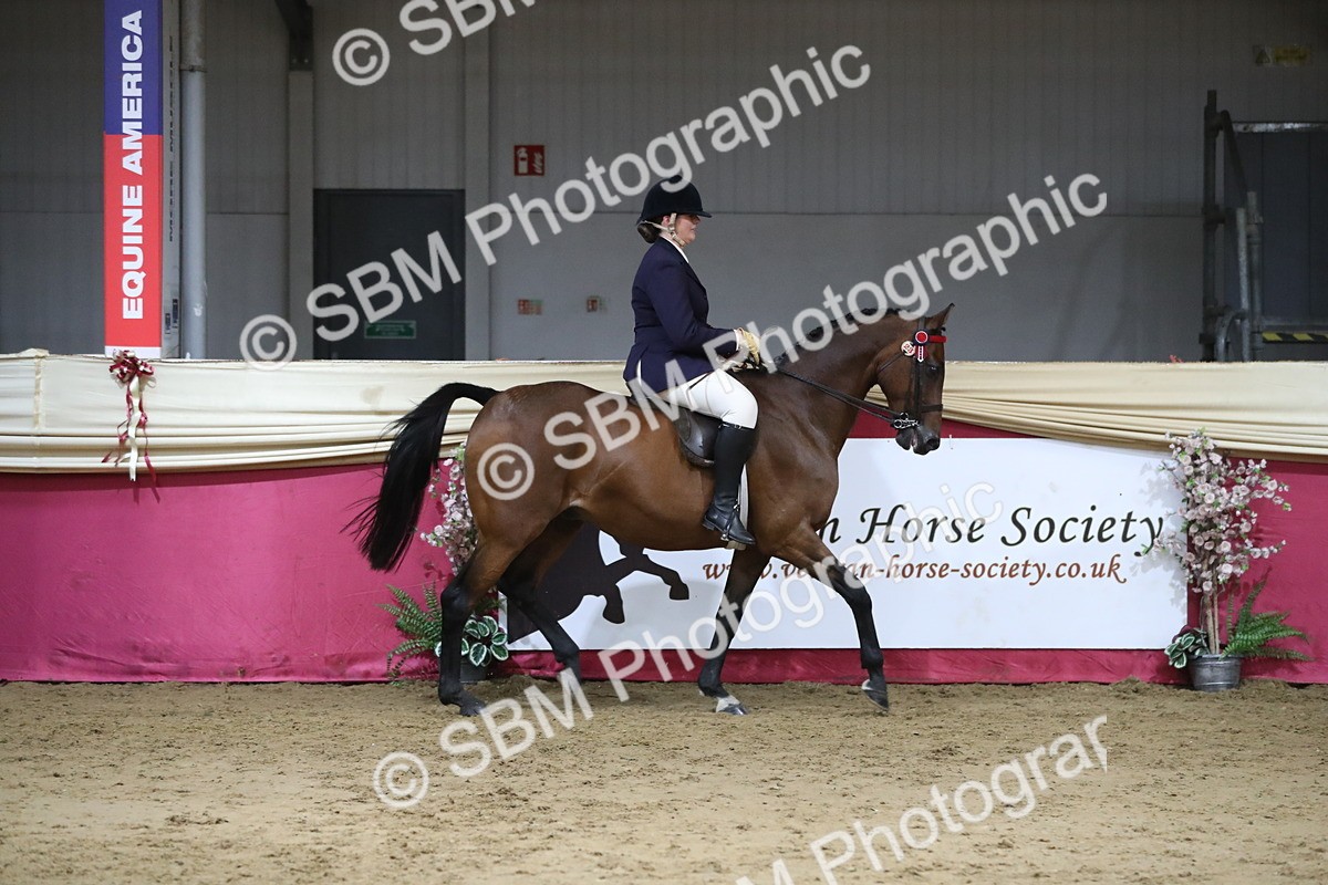 SBM_08485 - Class 11R Regional Ridden Veteran