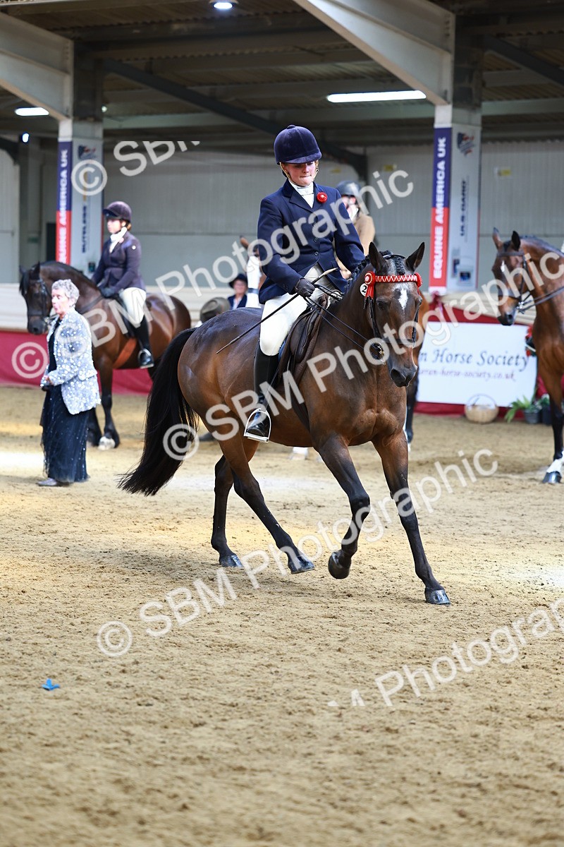 SBM_23964 - Class 905 - Supreme Final - Ridden Veteran