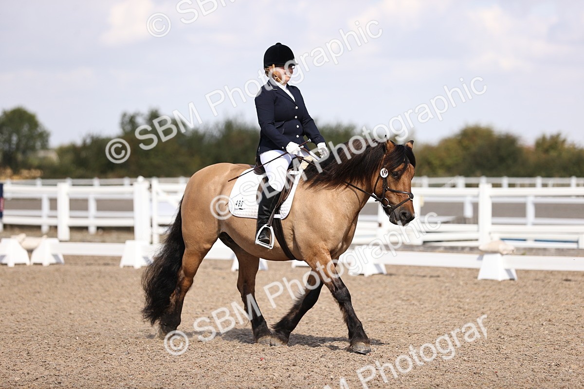 SBM_03585 - CLass 35 Intro 3