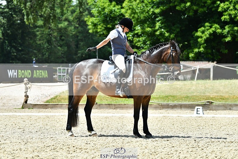 230623-123119-02240 - Cls 4 Novice 37Q Start to 12.35 break