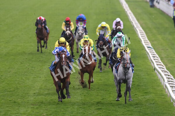 yr09102021r6-14 - Race 6 4.25pm Coral Best Odds Guaranteed Handicap