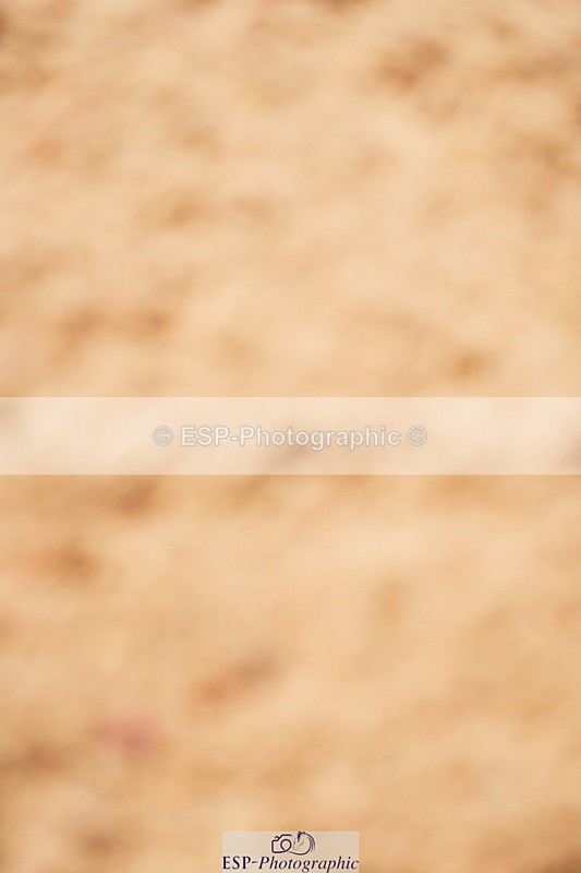 240526A-121418-08002 - Cls 26 Chard Equ 1.05m and 1.10m Grand Prix