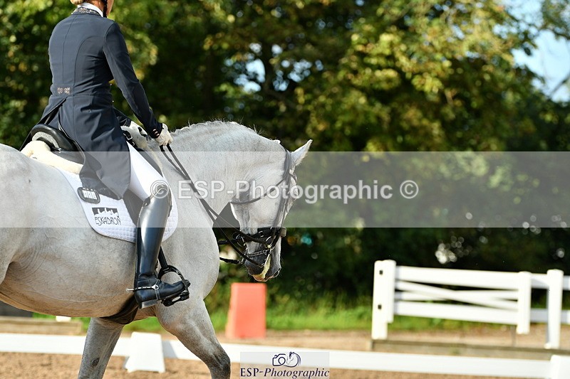 230912A-173358-02075 - Cls 23 FEI Grand Prix