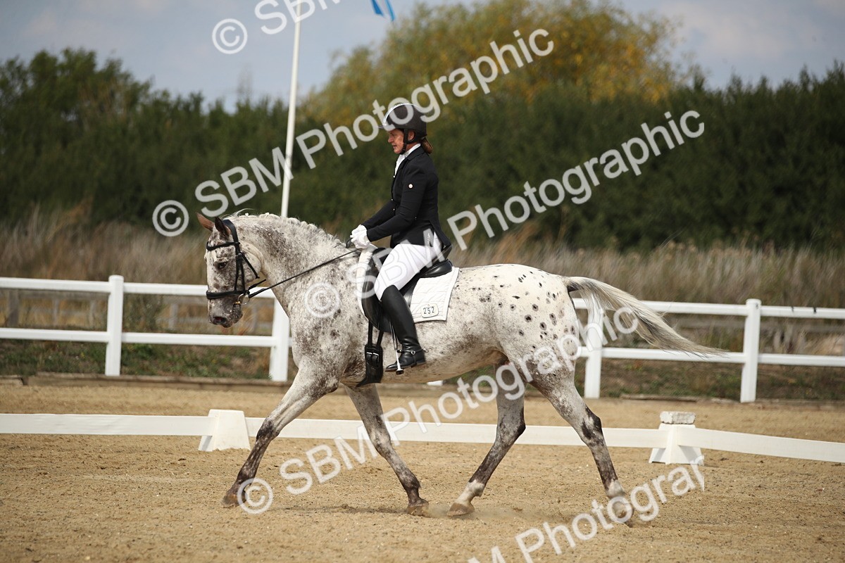 SBM_001391 - Class 2 - Pelim 5 - 11.36.12.32